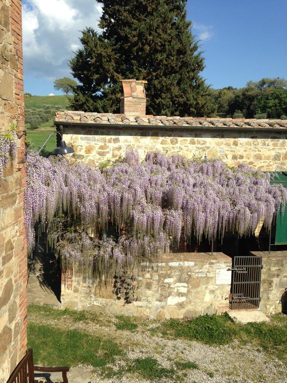 La Moiana Guest House San Quirico d'Orcia Ngoại thất bức ảnh